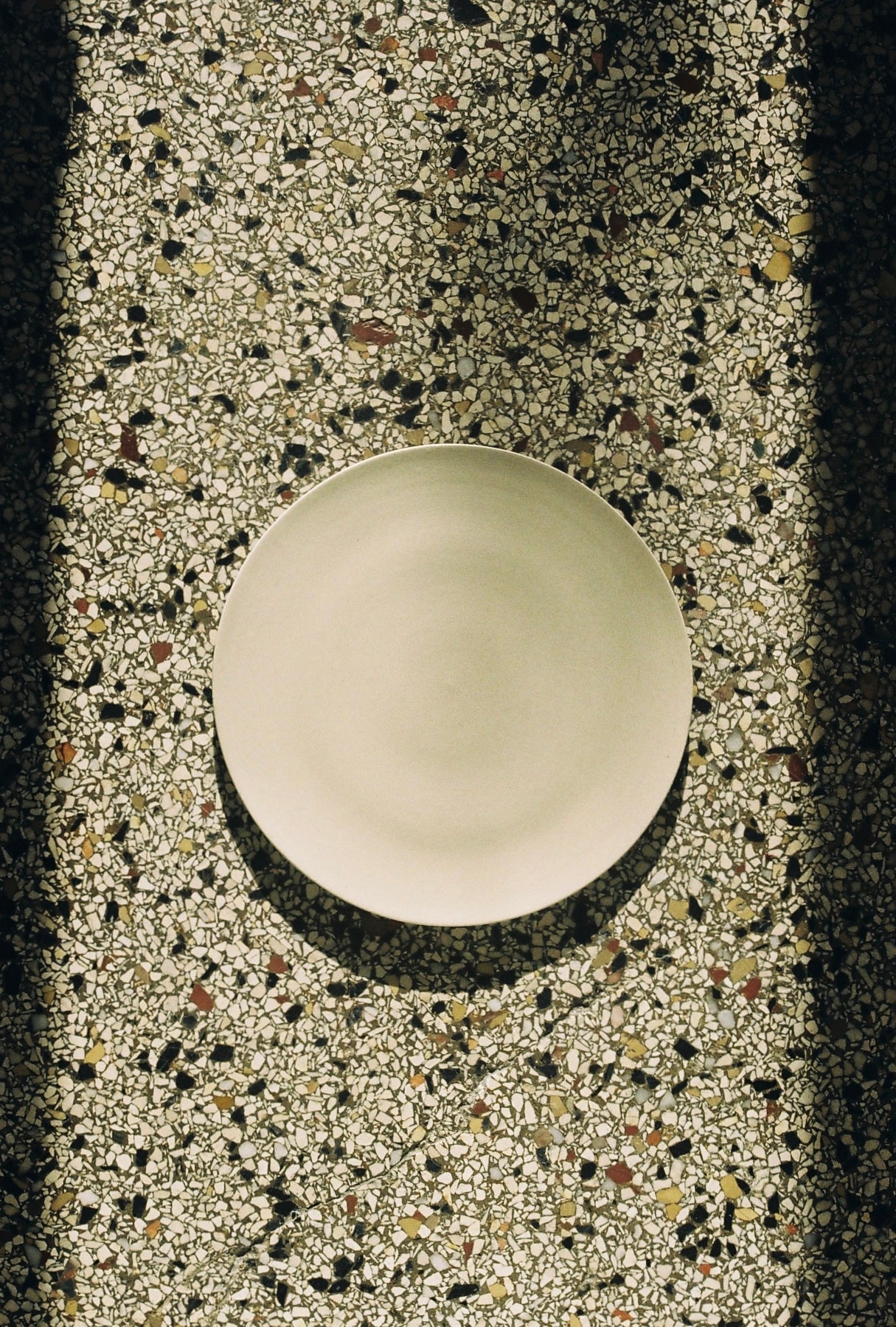 Dinner Plate